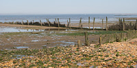 Cliffwood Beach Piers