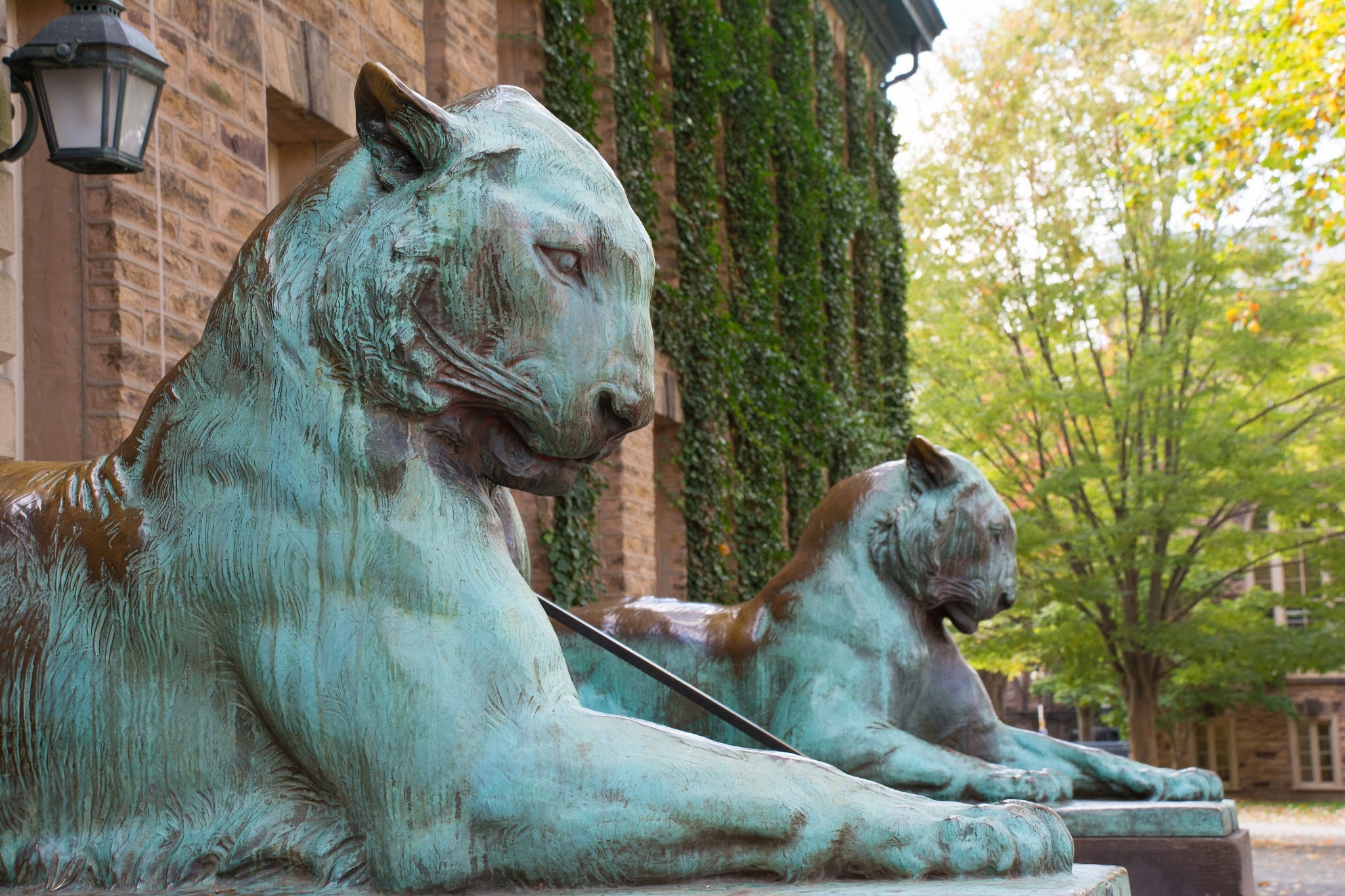 Bronze tiger sculptures with green patina from weather flanking the main entrance of Princeton University's Nassau Hall