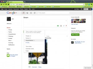 Google Plus Post Options